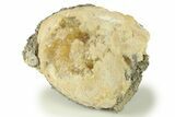 Fossil Clam (Mercenaria) With Fluorescent Calcite - Rucks Pit, FL #280372-2